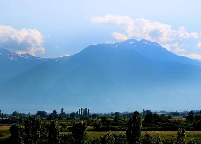 Hotel Adriani Paralía